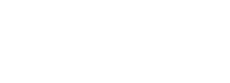 Snelvita
